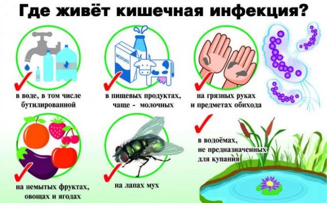 Что делать, если в мазке у женщины обнаружена кишечная палочка