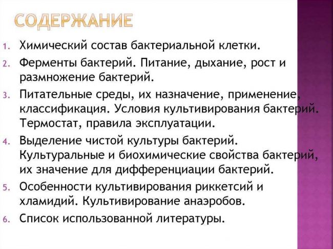 Как размножаются бактерии кратко