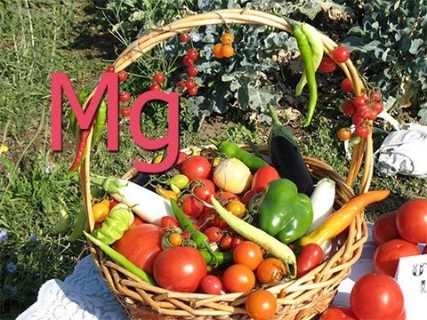 Недостаток магния: симптомы и лечение дефицита магния