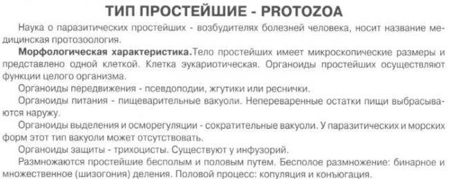 Эти уникальные одноклеточные бактерии