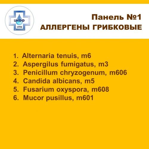 Доклад на тему болезнетворные бактерии сообщение 5, 6, 7 класс