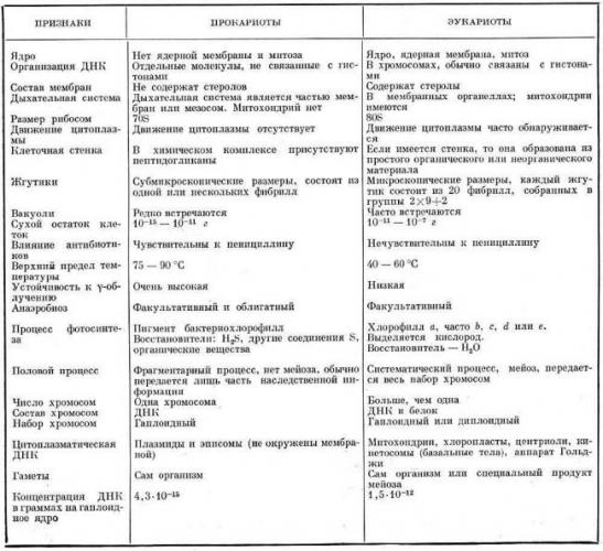 Способы классифицирования бактерий, основанные на изучении их морфологии