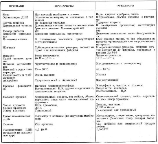 Бактерии — общая характеристика. классификация, строение, питание и роль бактерий в природе
