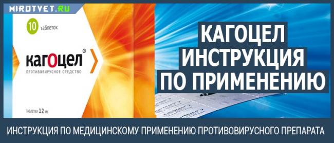 Как принимать кагоцел взрослым при гриппе
