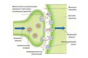 Аллергия на сигареты