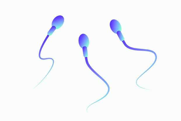 Гормональная контрацепция. секреты выбора комбинированного орального контрацептива - аптека "для человека"