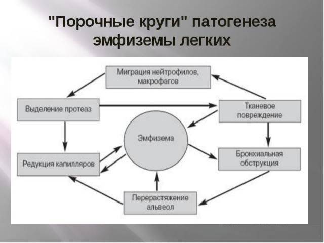 Эмфизема легких: причины, симптомы, лечение