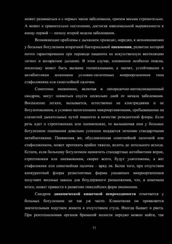 Бактерии в кишечнике человека