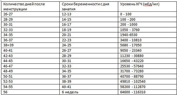 Что такое хгч? анализ крови на хгч при беременности