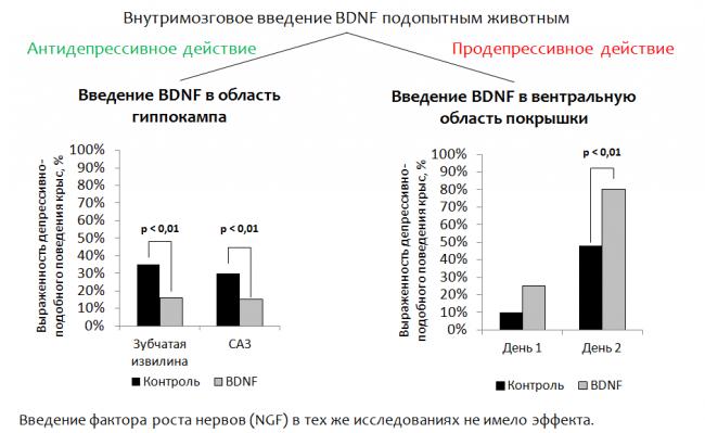 Ииссиидиологический взгляд на патофизиологию и терапию депрессии