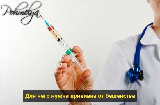 Можно ли пить алкоголь после прививки от столбняка и дифтерии?