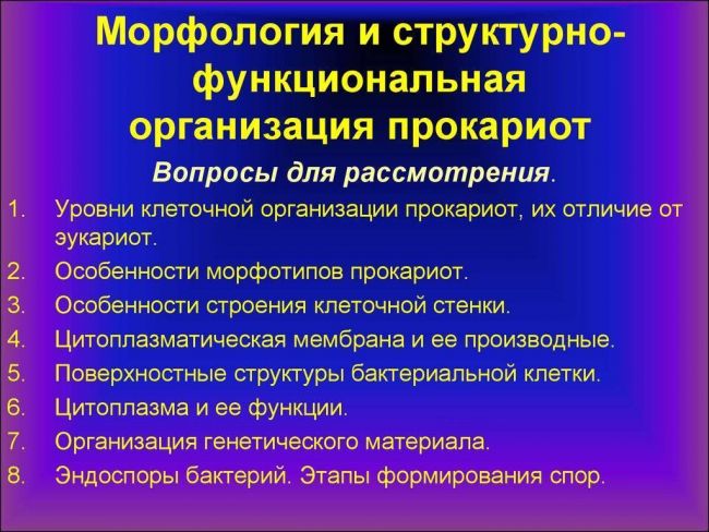 Бактерии: питание, дыхание, ферменты и пигменты. фото
