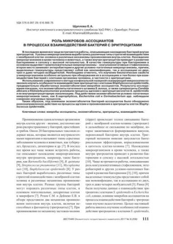 Грибы и их отличия от бактерий