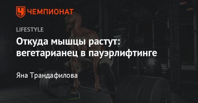 Бодибилдинг и вегетарианство - klepki