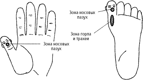 Как делать точечный массаж при заложенности носа и насморке?