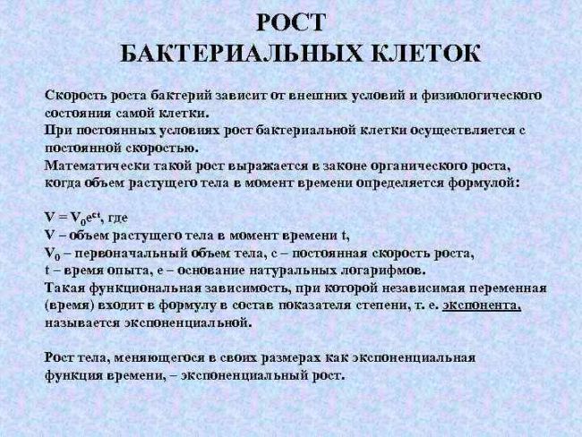 Способы размножения бактерий