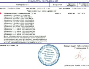 Что такое хгч?