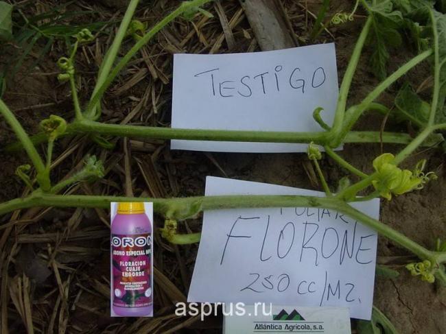 Введите код, указанный на картинке