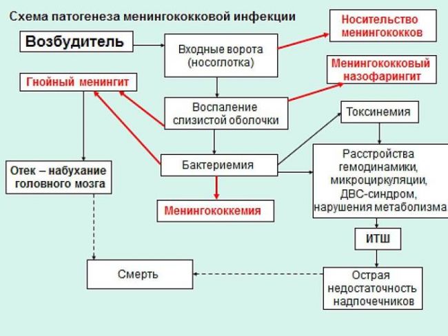 Острый назофарингит у детей