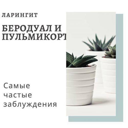 Что лучше: аскорил или беродуал?