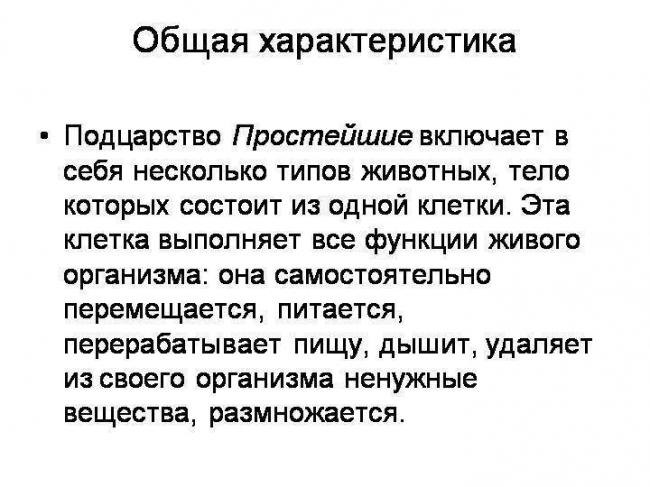 Чем бактерии отличаются от простейших. разница между бактериями и простейшими