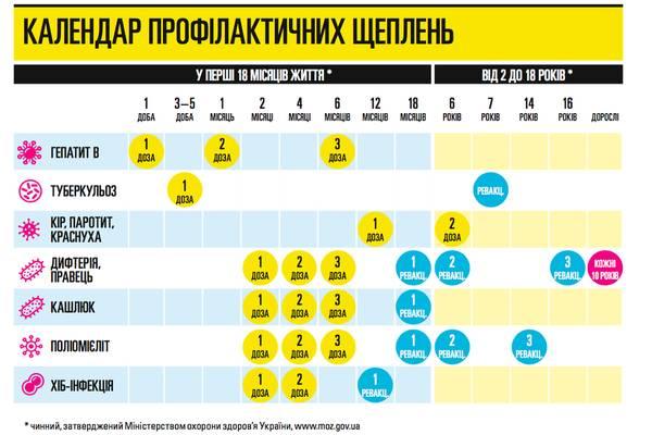 Прививать ли ребенка? что такое национальный календарь прививок и индивидуальный график прививок - календарь развития ребенка