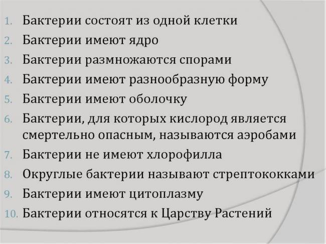 Как и чем питаются различные бактерии