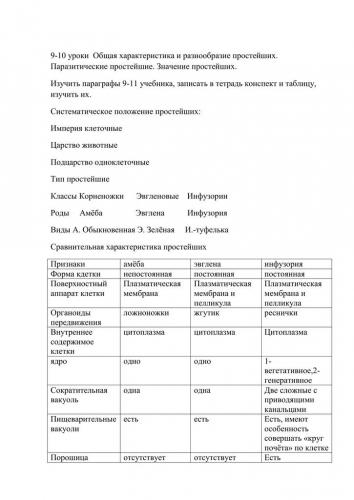 Чем бактерии отличаются от простейших