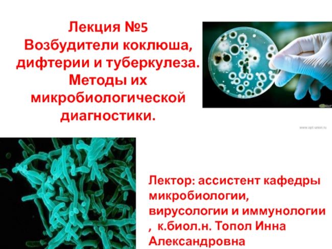 Патогенные или болезнетворные микроорганизмы – причина инфекционных заболеваний