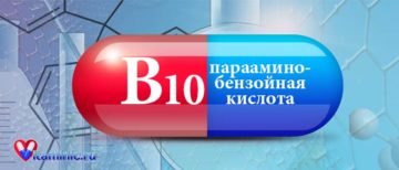 В каких продуктах содержится парааминобензойная кислота (витамин b10)