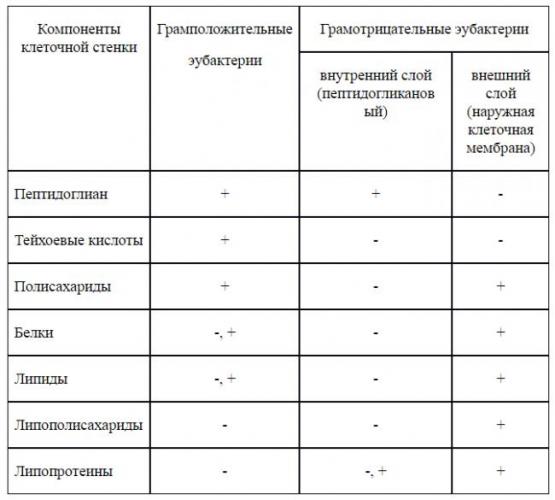 Грамотрицательные бактерии - gram-negative bacteria - qwe.wiki
