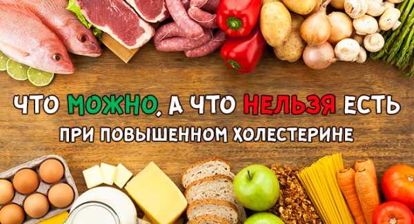 Есть ли в топленом масле холестерин