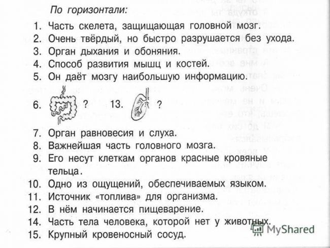 Царства бактерий и грибов: друзья или враги человеку?