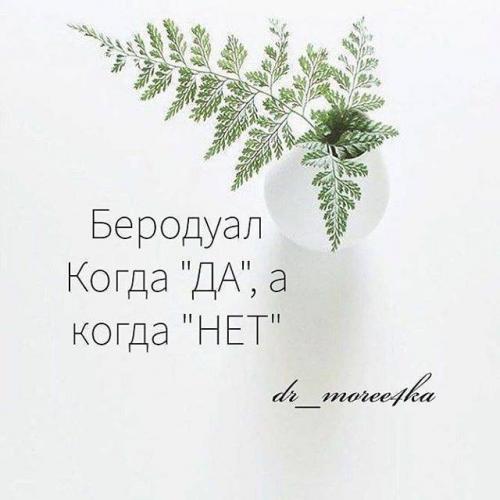 Можно ли аскорил с пульмикортом - запись пользователя мама дочек и сыночка (id2020419) в сообществе здоровье новорожденных в категории вирусные инфекции - babyblog.ru
