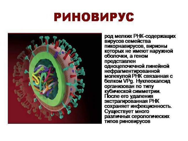 Конъюнктивит при простуде у ребенка лечение