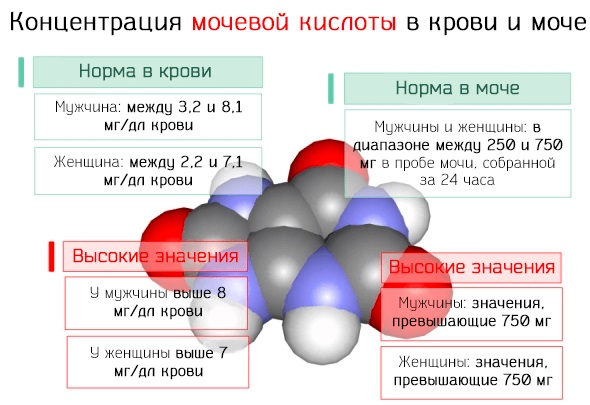 Диетотерапия при подагре