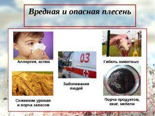Заболевания растений, вызванные бактериями