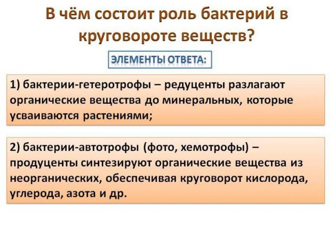Укажите не менее 3-х отличий — студопедия