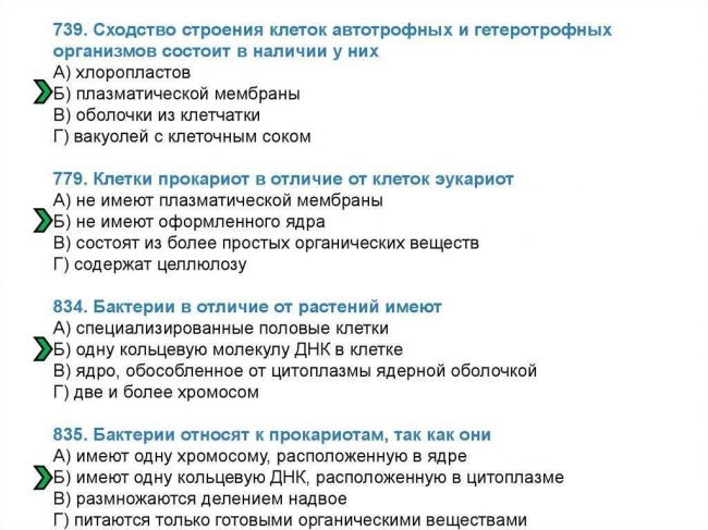 Какие сходства есть у клеток животных и бактерий