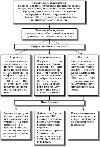 Особенности симптомов бронхиальной астмы и отличия от других заболеваний