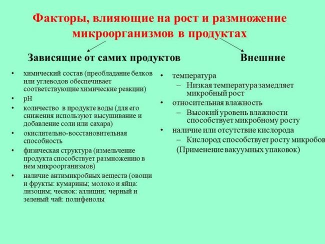 Способы размножения бактерий