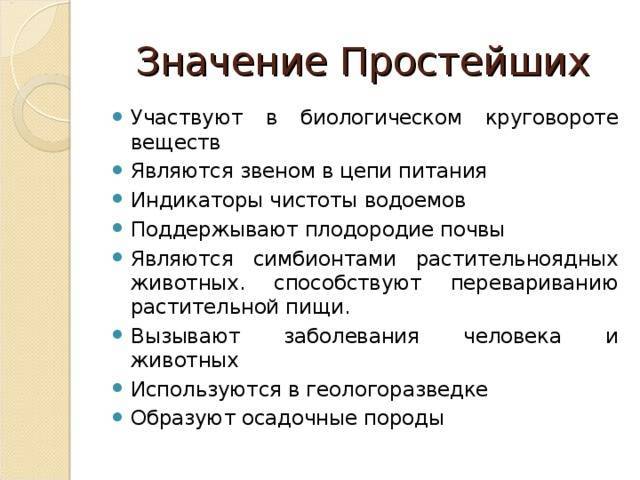 Отличие бактериальной клетки от животной. чем отличается бактериальная клетка от растительной: основные функциональные и структурные отличия