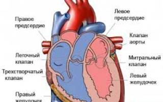 Одышка в состоянии покоя – норма или основание для беспокойства?