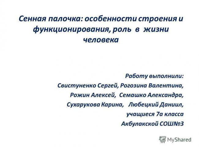 Сенная палочка польза и вред для человека