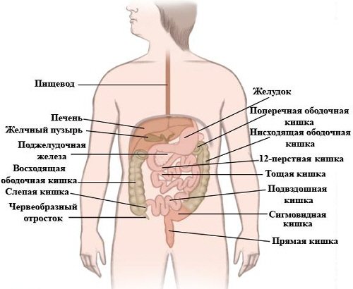 Гемангиома печени