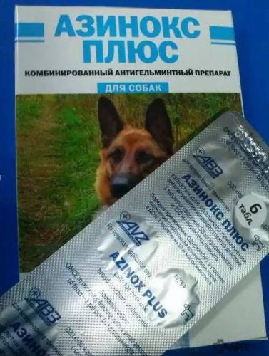 Азинокс Плюс