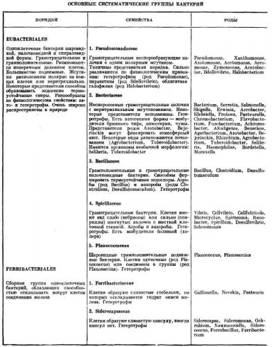 Классификация организмов. вирусы. бактерии. грибы. лишайники.