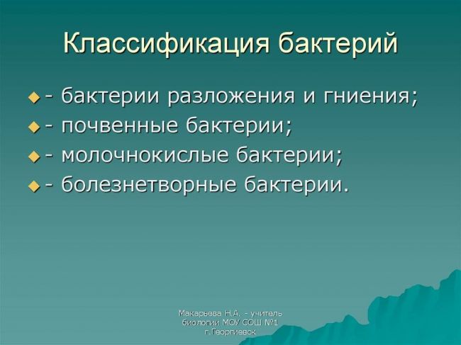 Применение сухих бактерий в разных сферах