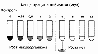 Методы определения чувствительности бактерий к антибиотикам