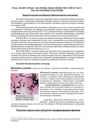 Строение бактериальной клетки